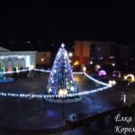 Лучшая елка области