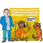 В Кореличском районе проходит специальное комплексное мероприятие «Зелёный щит»