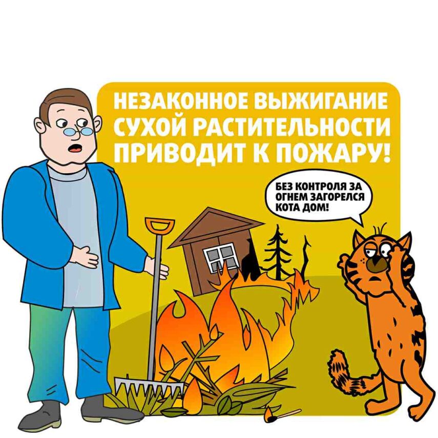 В Кореличском районе проходит специальное комплексное мероприятие «Зелёный щит»